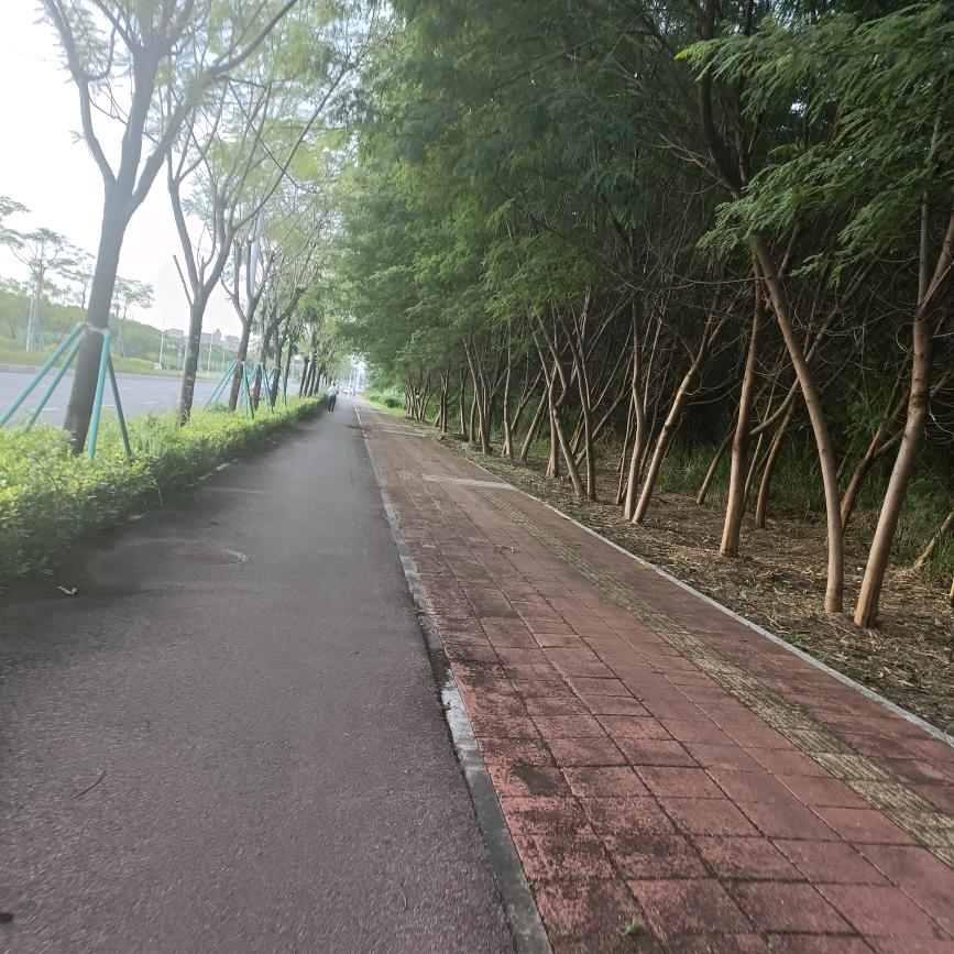 零晨的眼泪