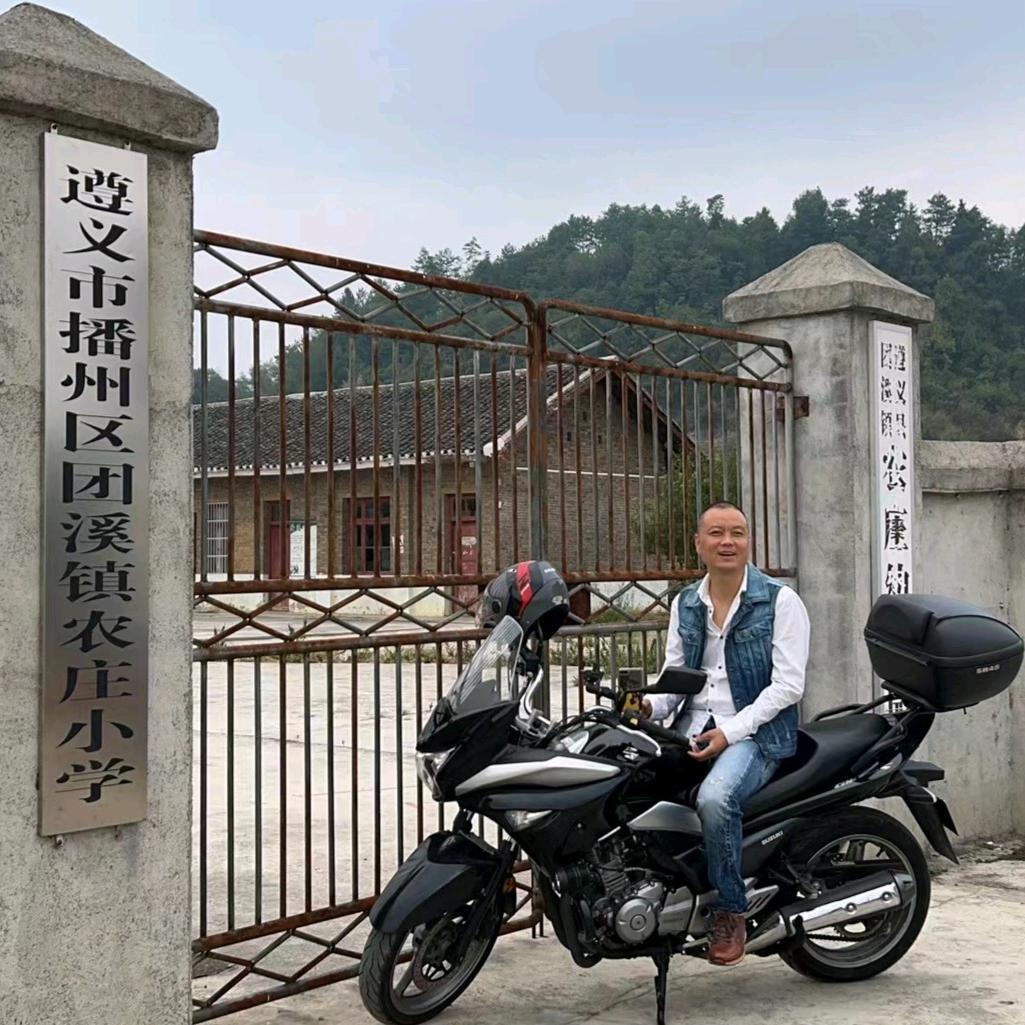 柏杨松树