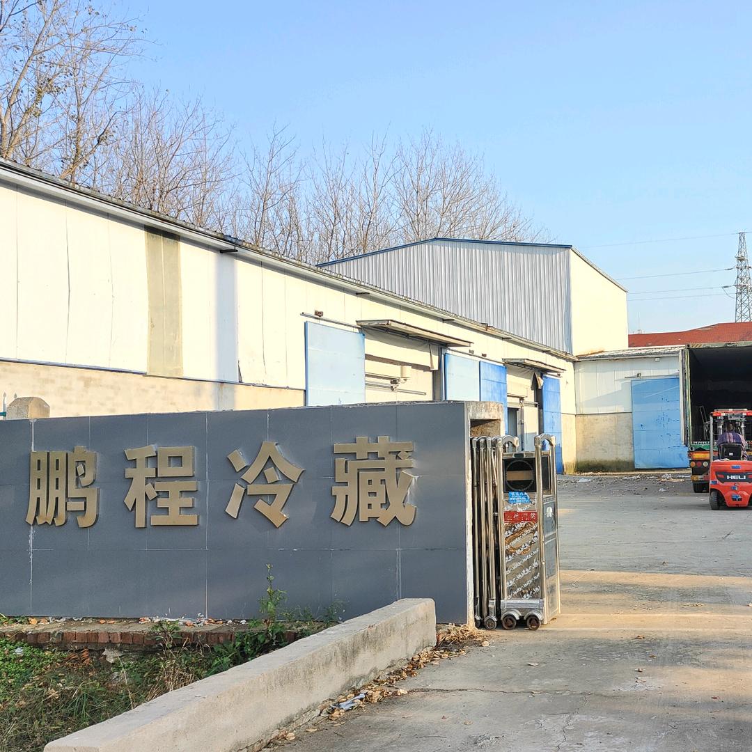 鹏诚冷藏饲料鱼