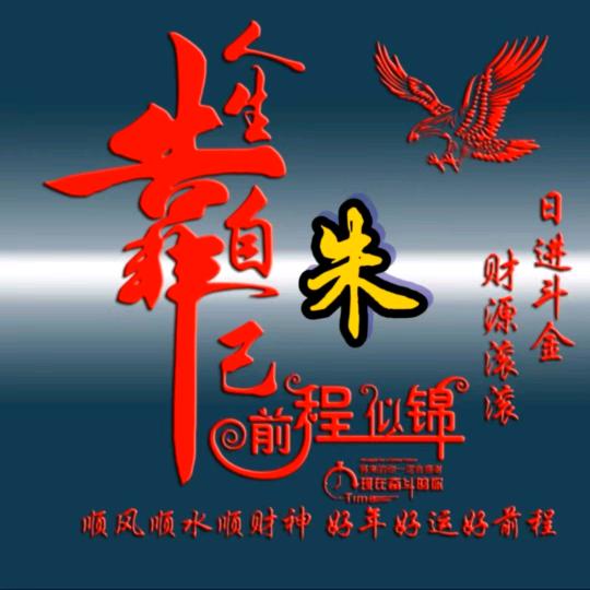 朱珠爱穿搭