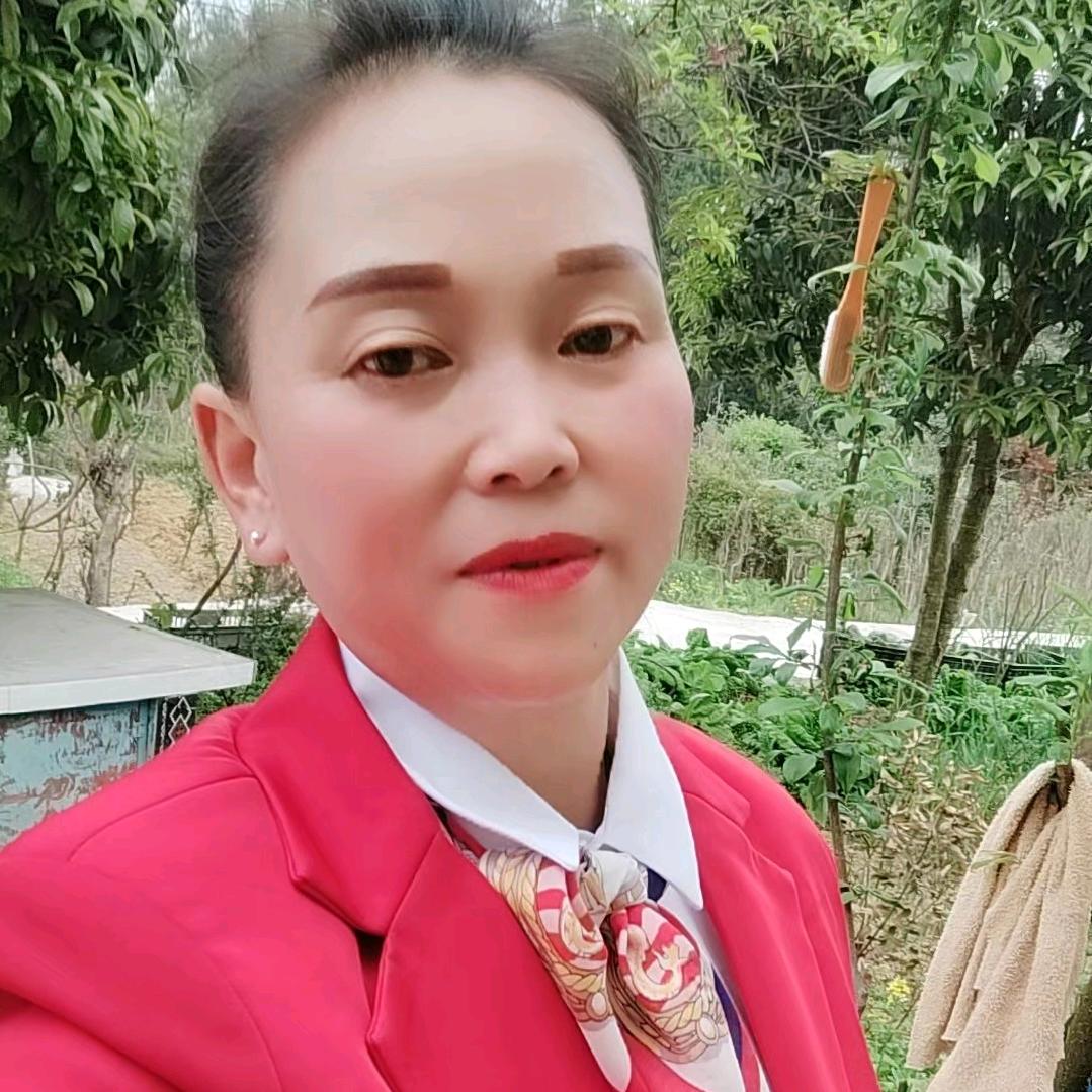 凤飞起舞