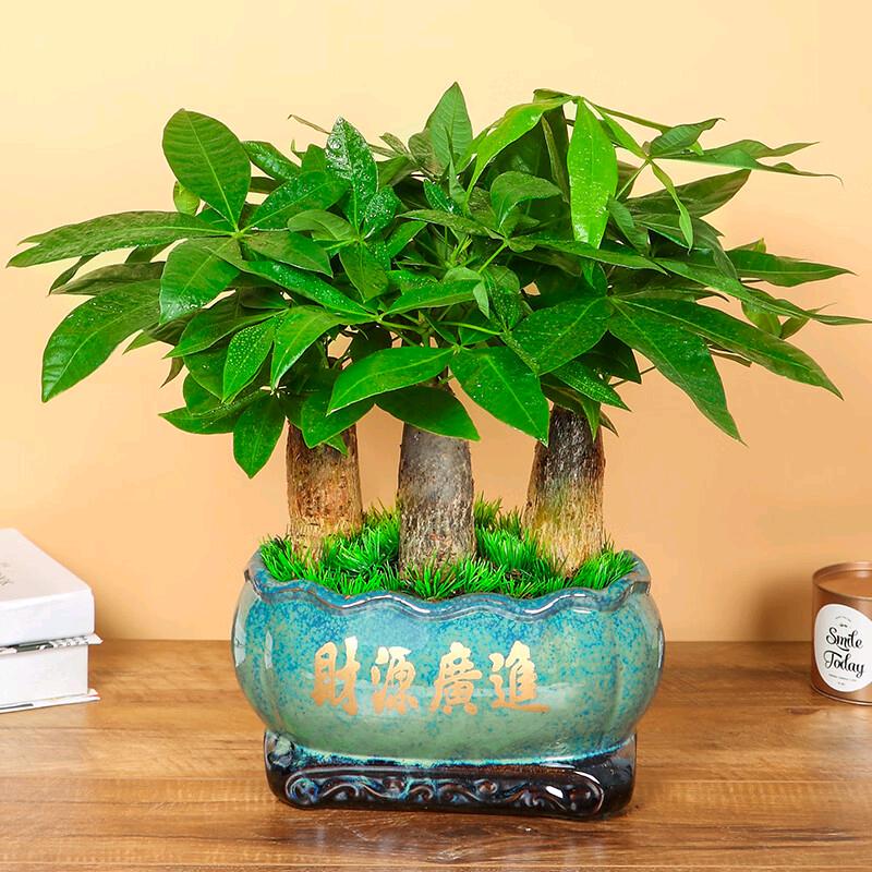 A鸿运一家人
