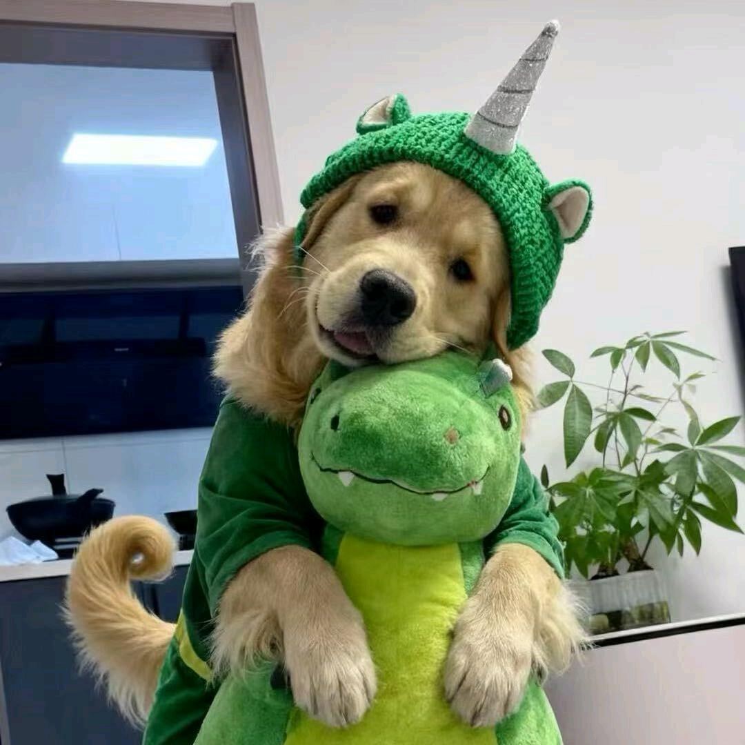 魔术师。白先生