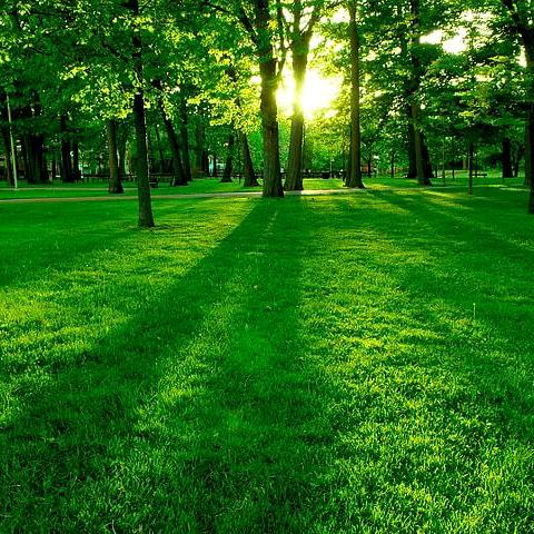 魔娜丽人汇内衣专卖店