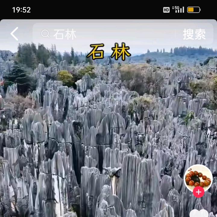 明哥