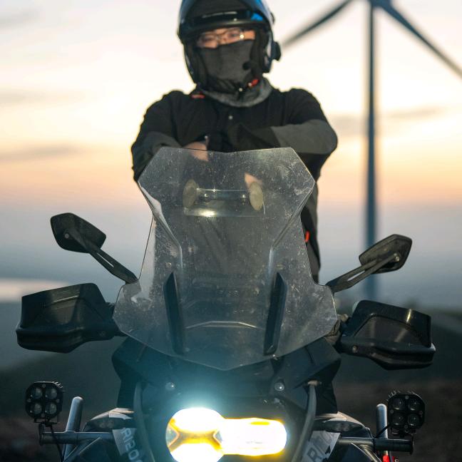 豆苗'Artis(接剪拍)