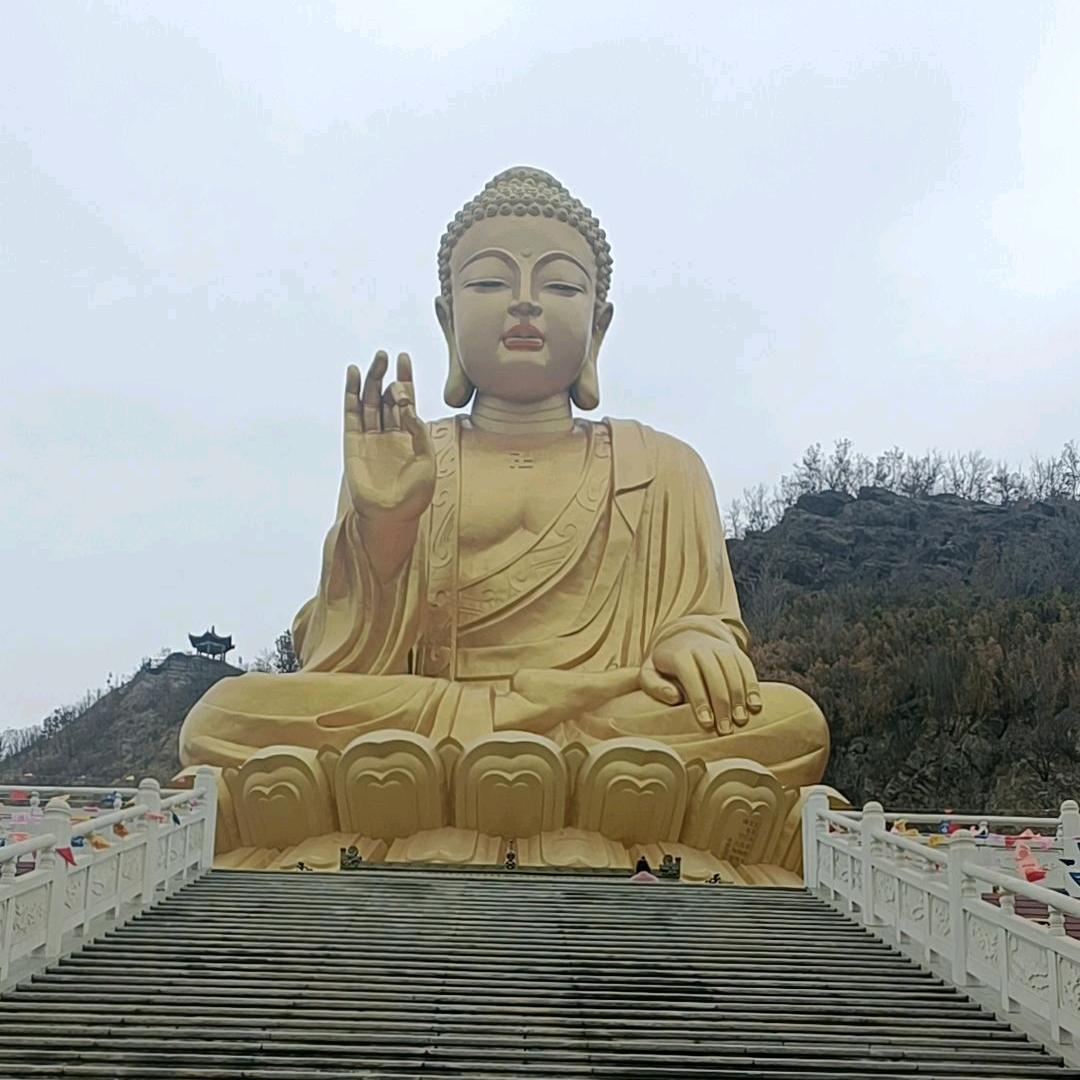 胖 胖