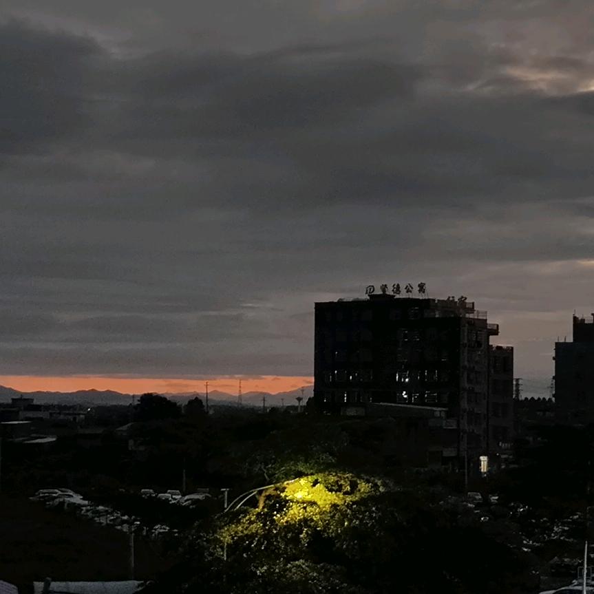 爱吃蔬菜的小刘