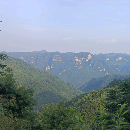 情缘无悔