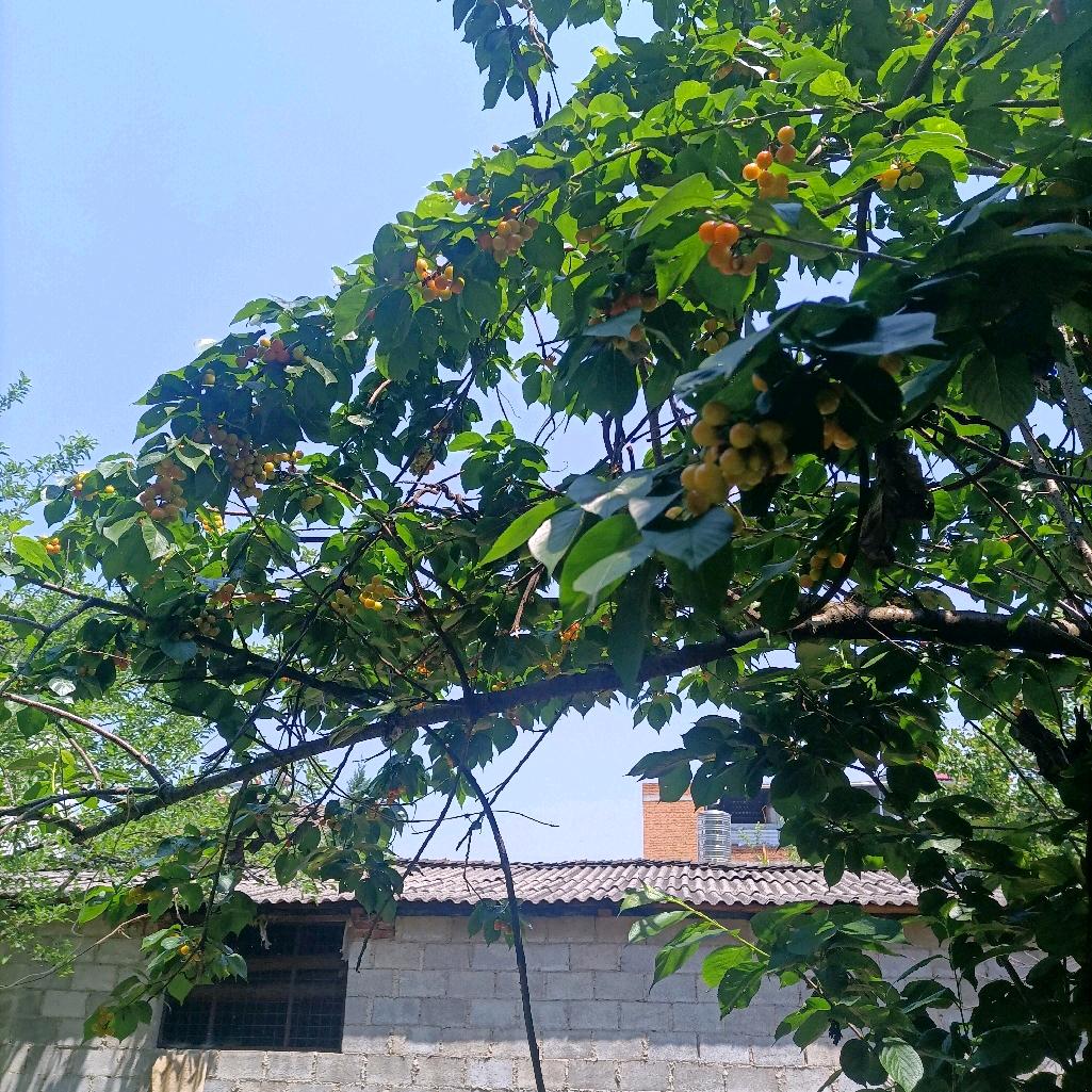 有你就幸福
