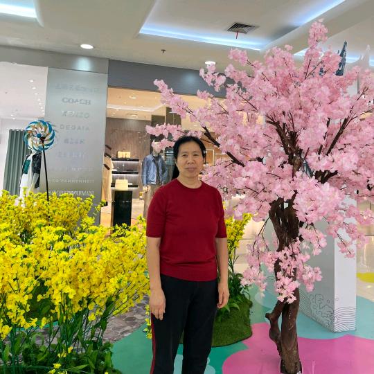 张四姐⁷⁷⁷