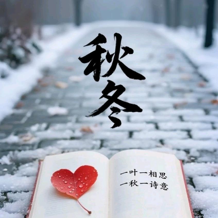 顺时养生（冬）