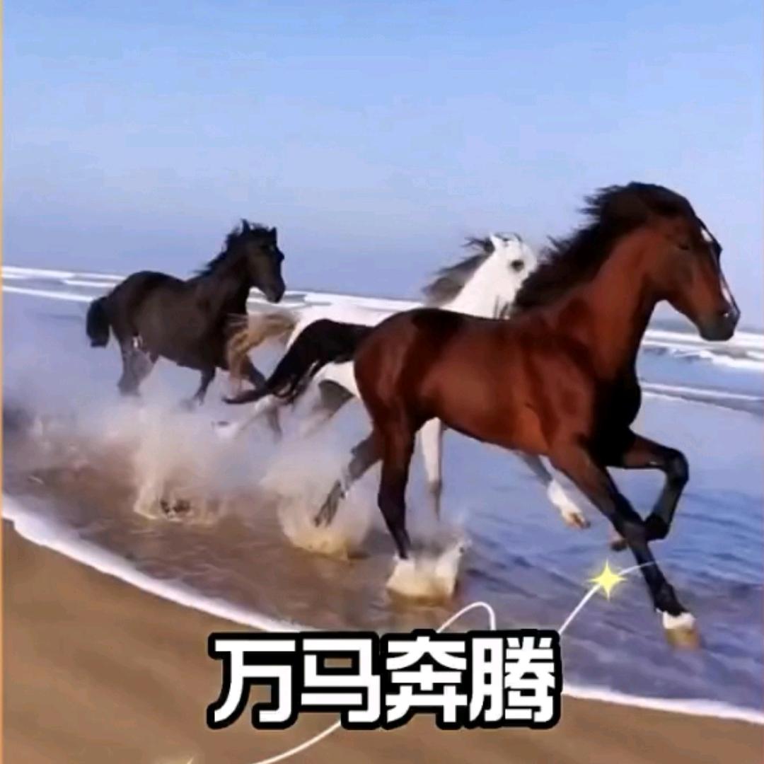 钓鱼岛