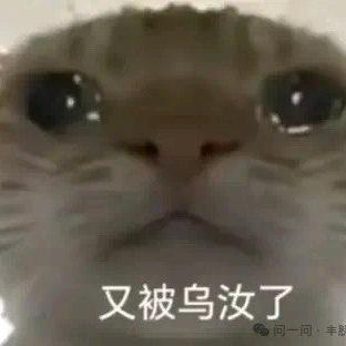 用户85812795