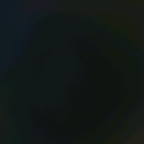 忘了.