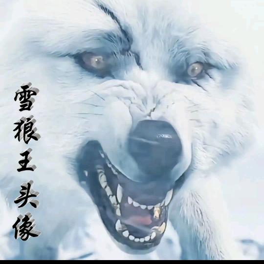 龙啸九天