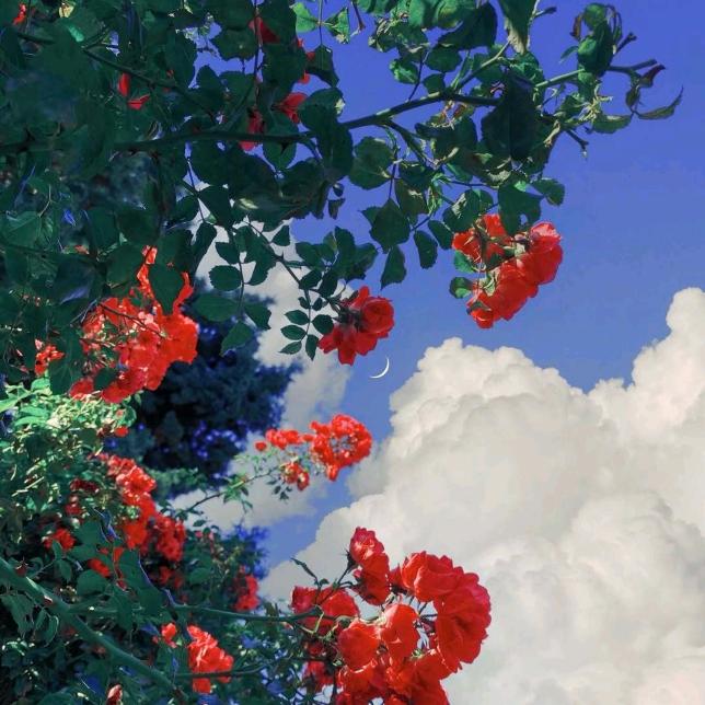 沙漠里的波塞冬