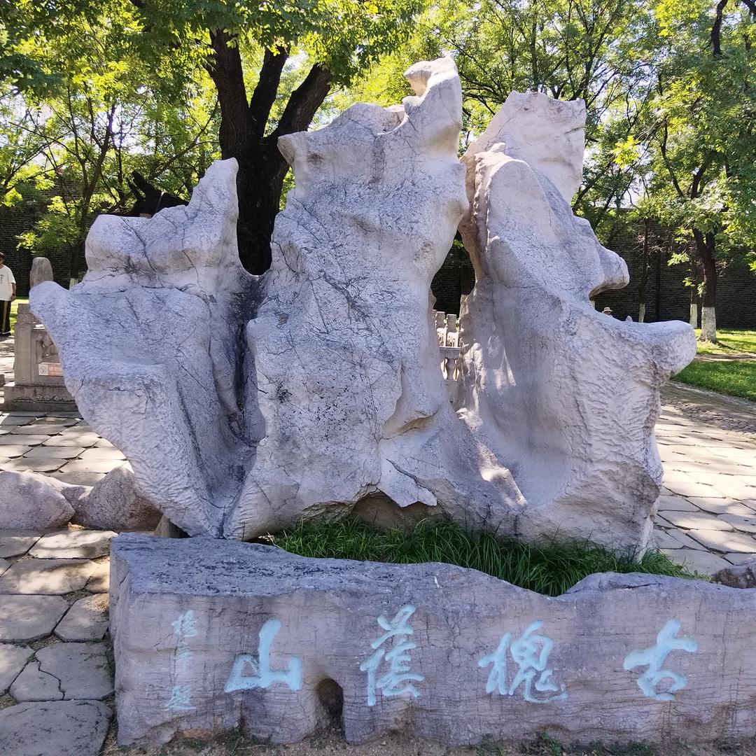 与农同行