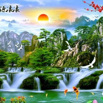 鹏鹏直播读书分享