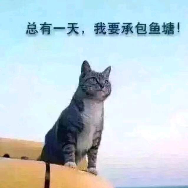 徐先生