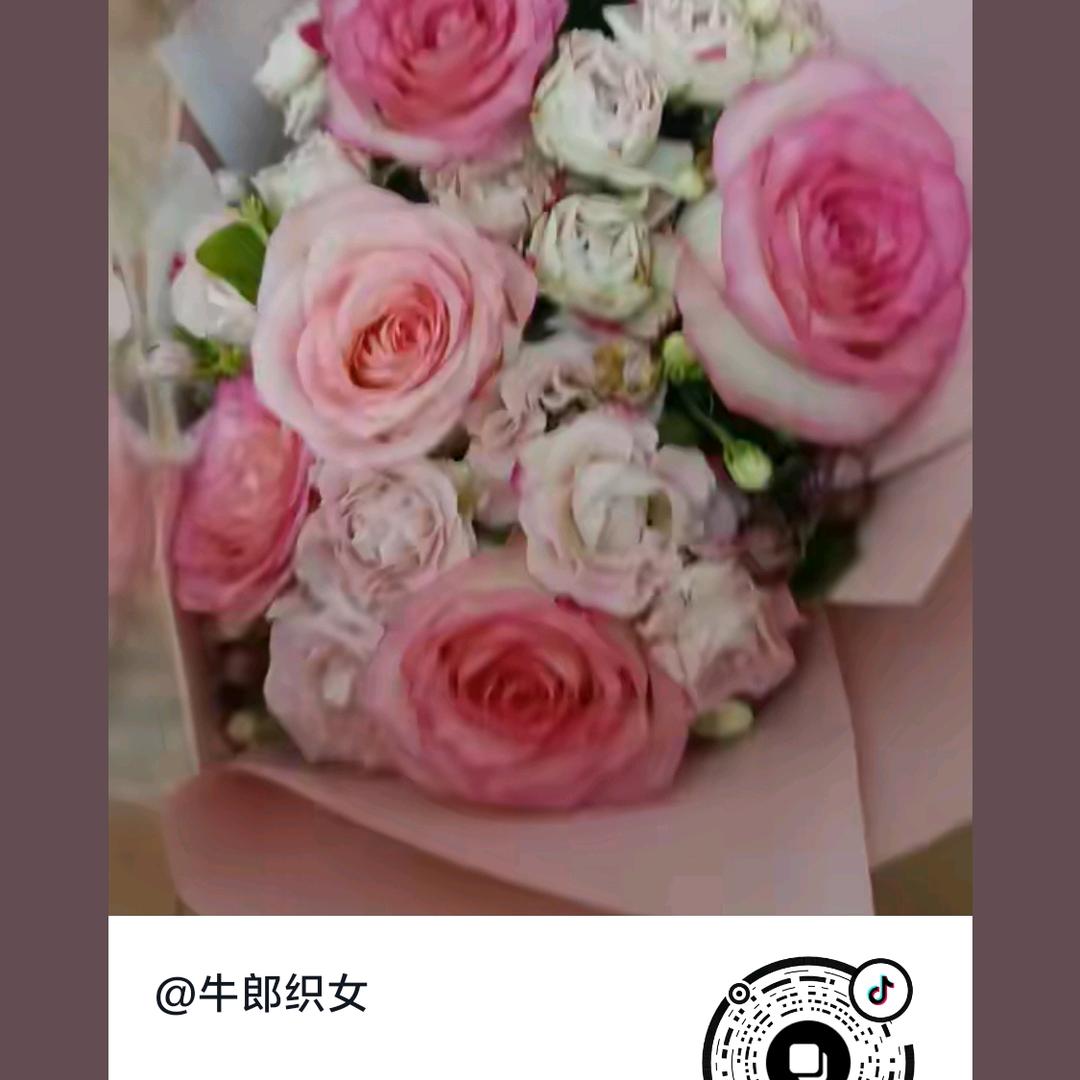 牛郞织女