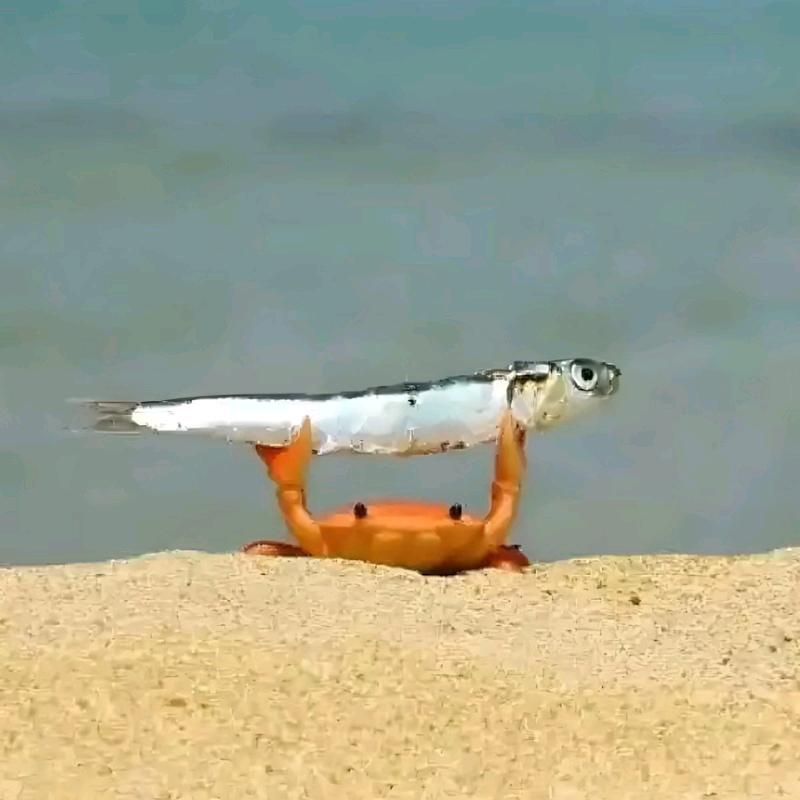 ૮⑅ᴗ͈ ‸ ᴗ͈⑅ა