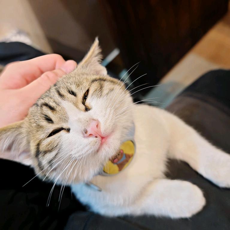 小泽.