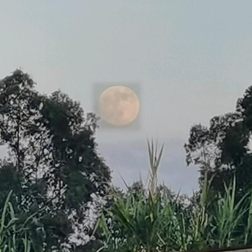 君林天下