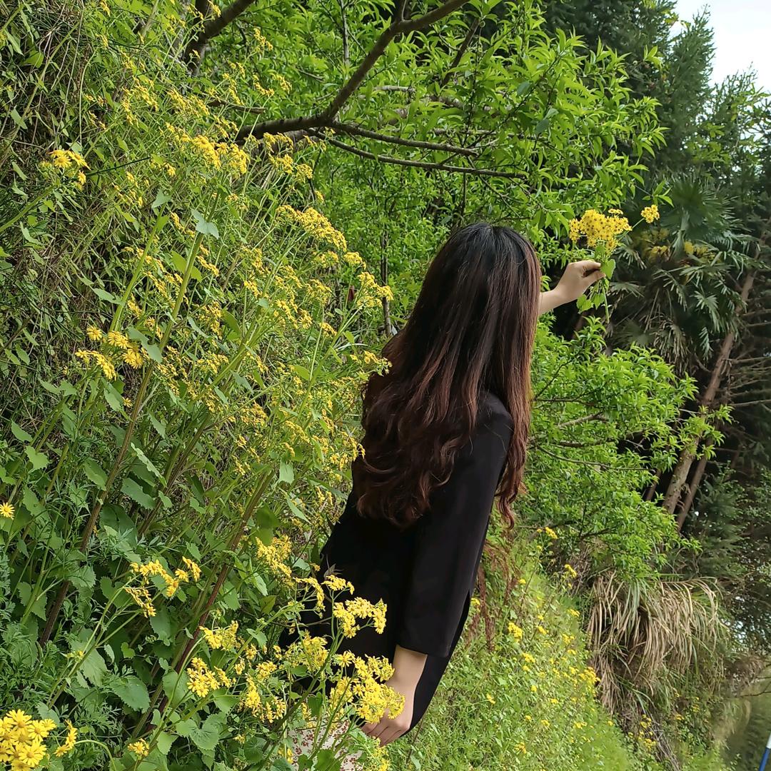 像鱼🐟