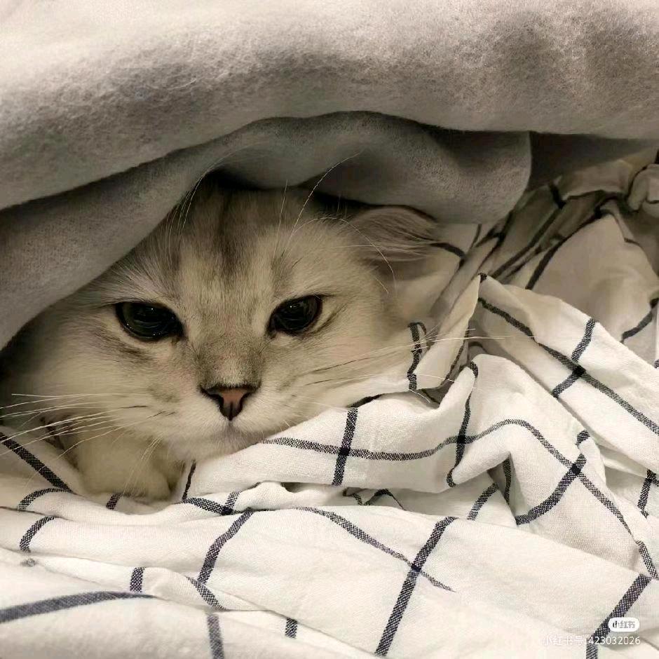 🌨️
