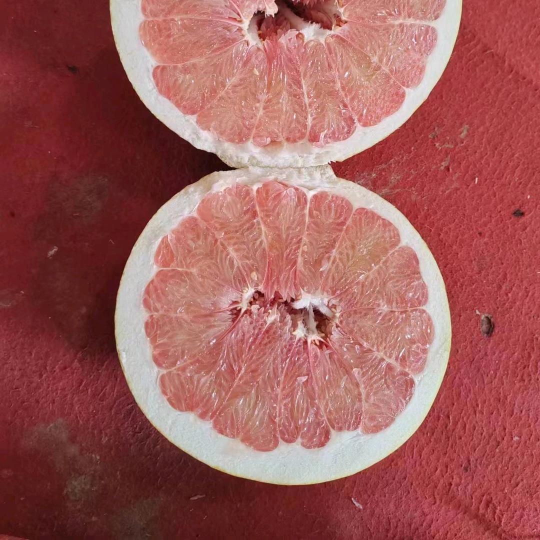 乐顺果业
