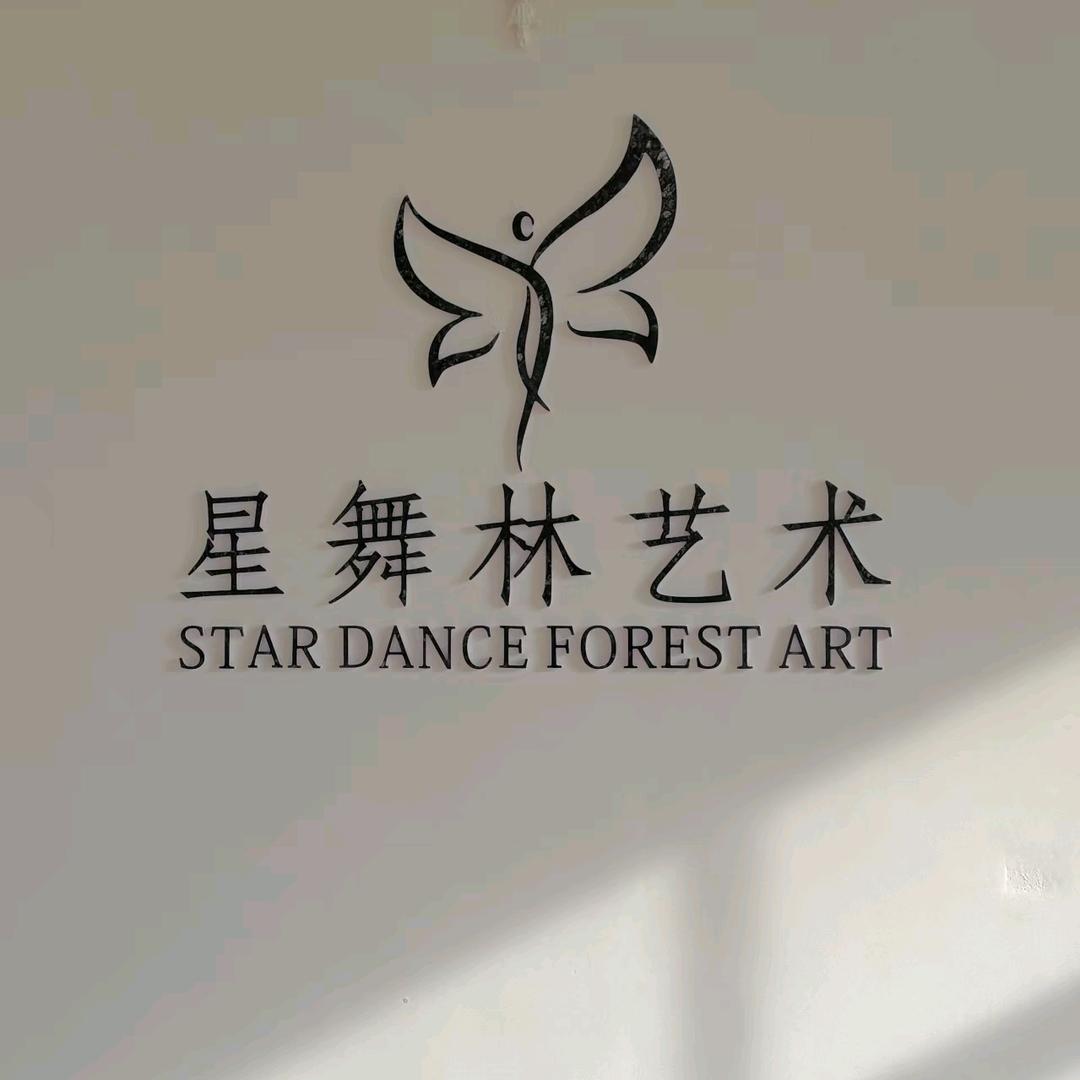星舞林艺术学校（招生中）