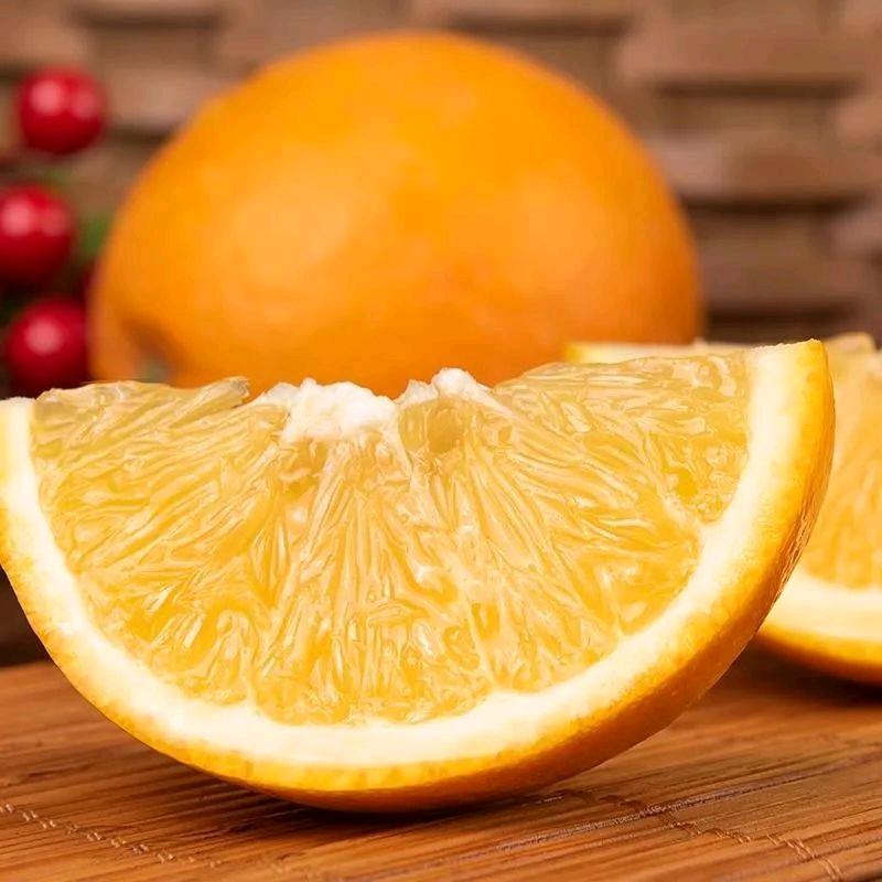 宁都赣南脐橙优选