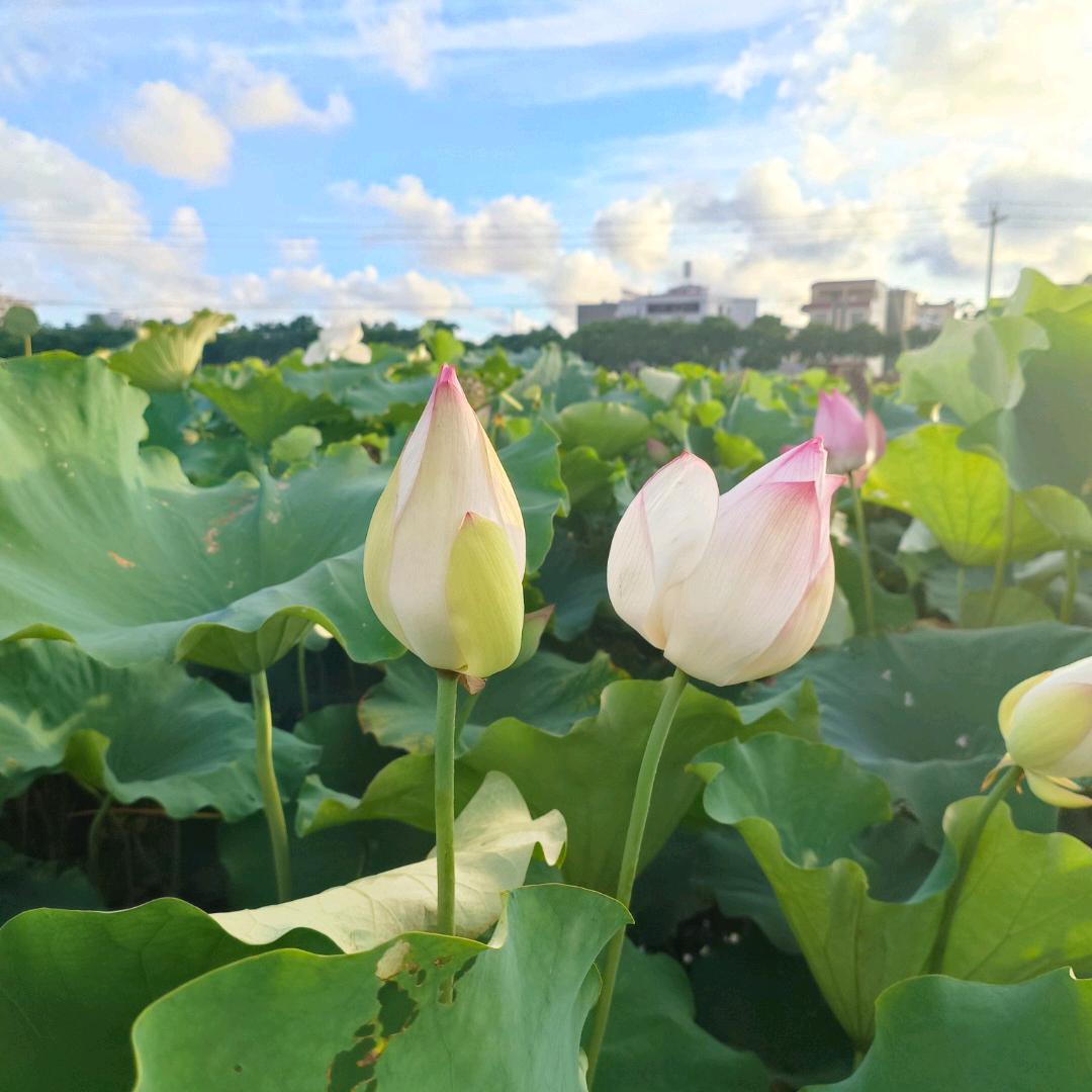 智慧平安