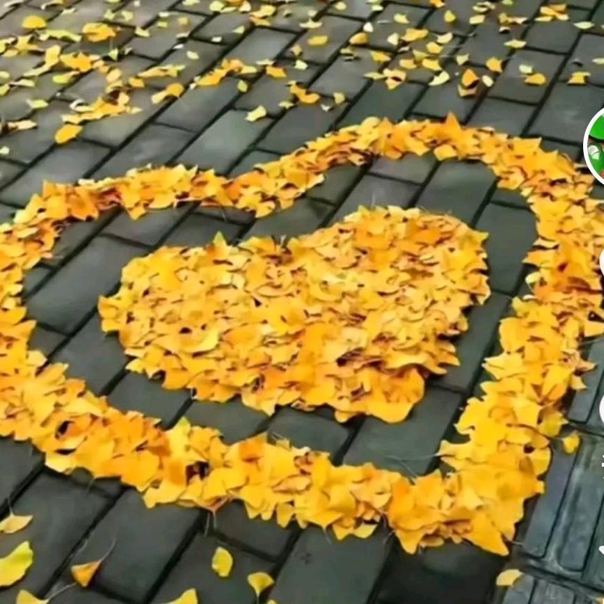 革与斤😘😘😘