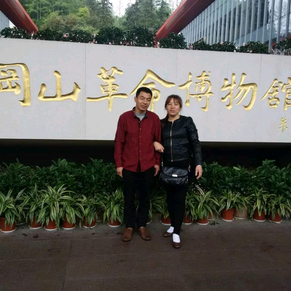 踏雪寻梅