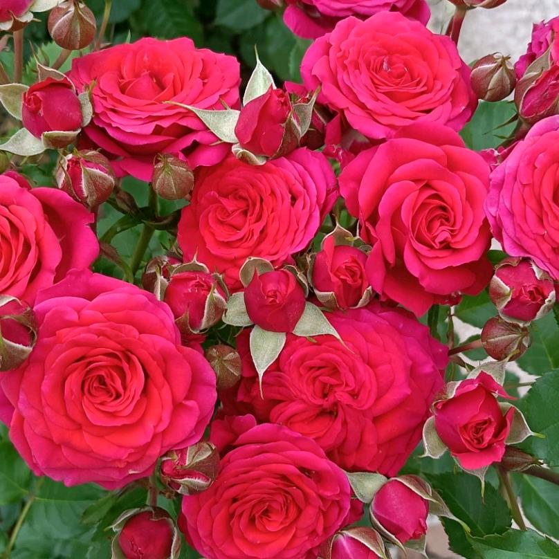 开开心心一辈子