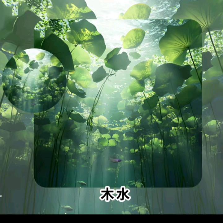 天竺鸟