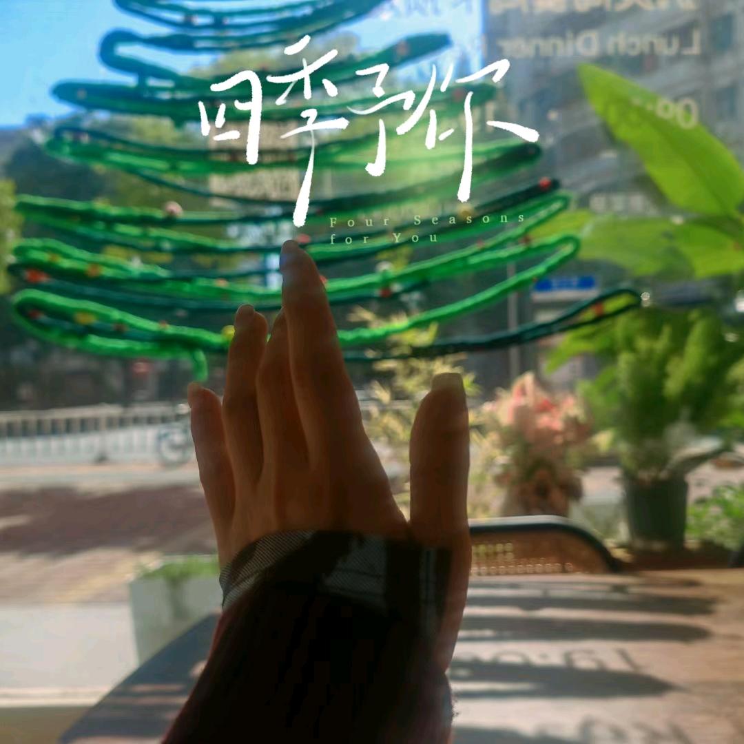 不是贤惠的慧