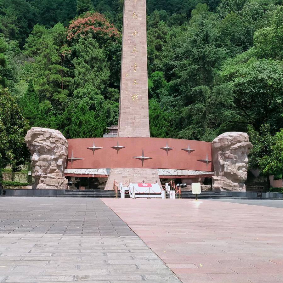 老韦
