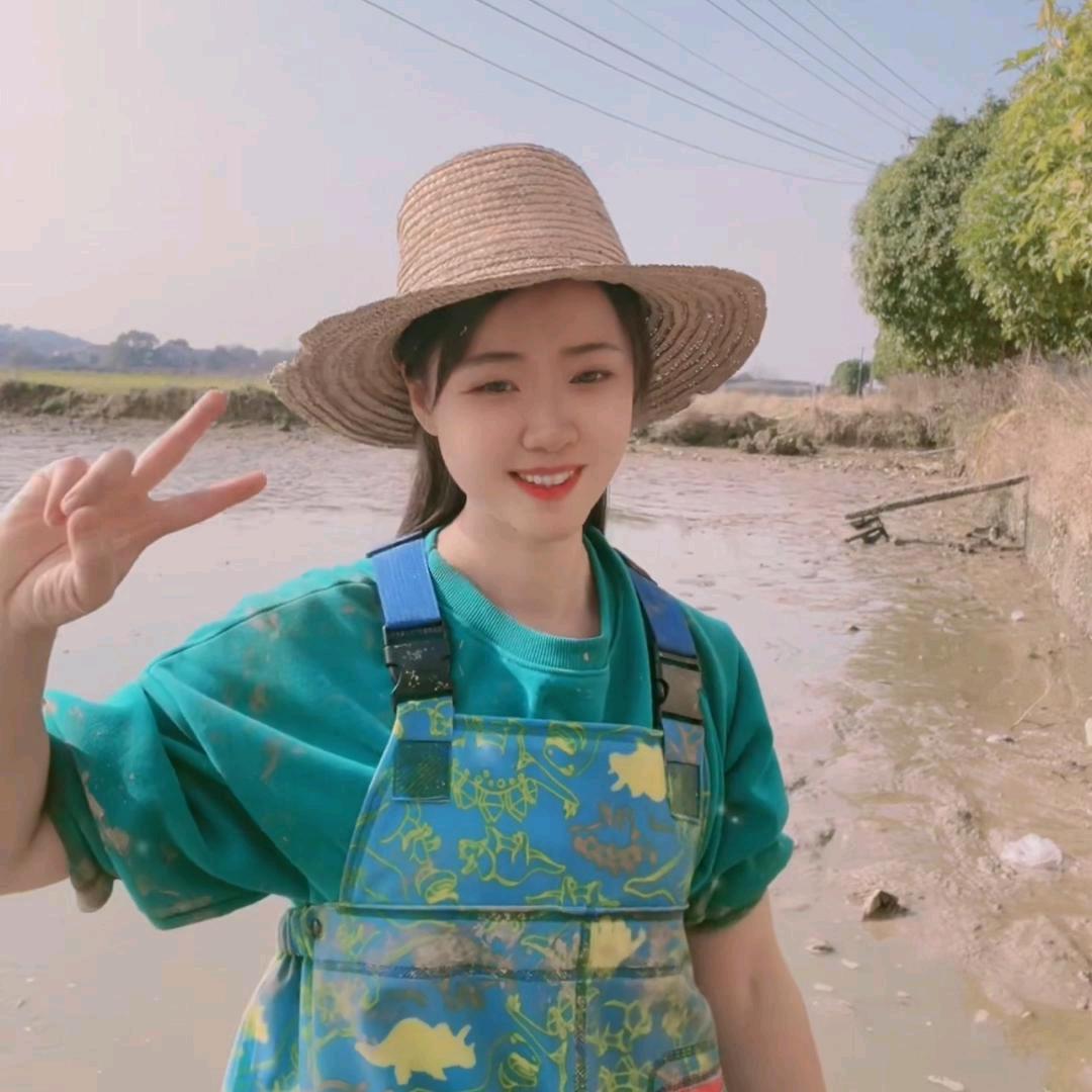 坨坨