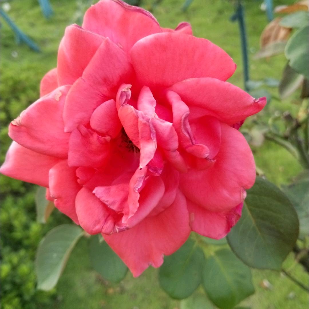 好心人（橱窗有好物）