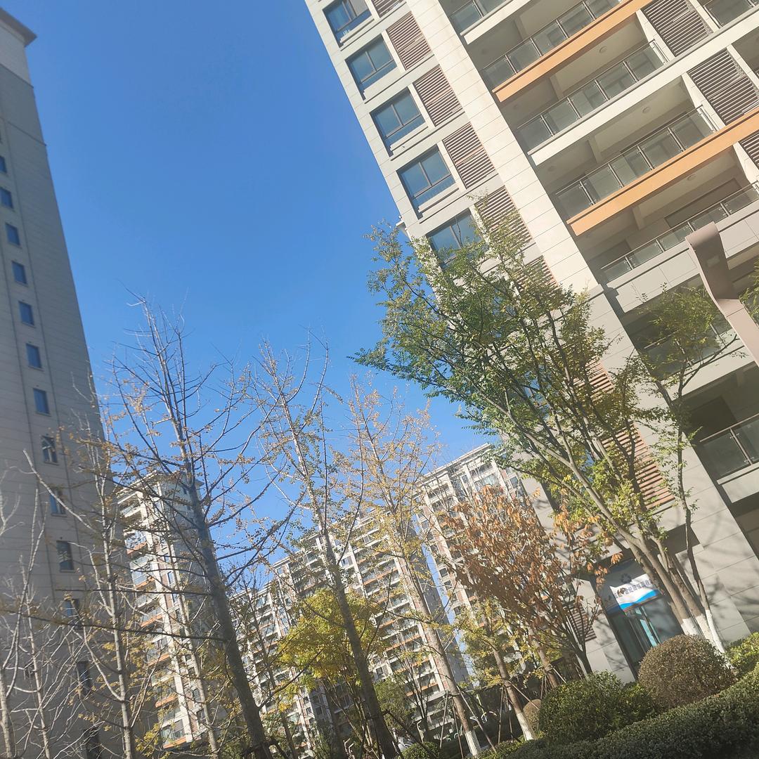 业余爱好者