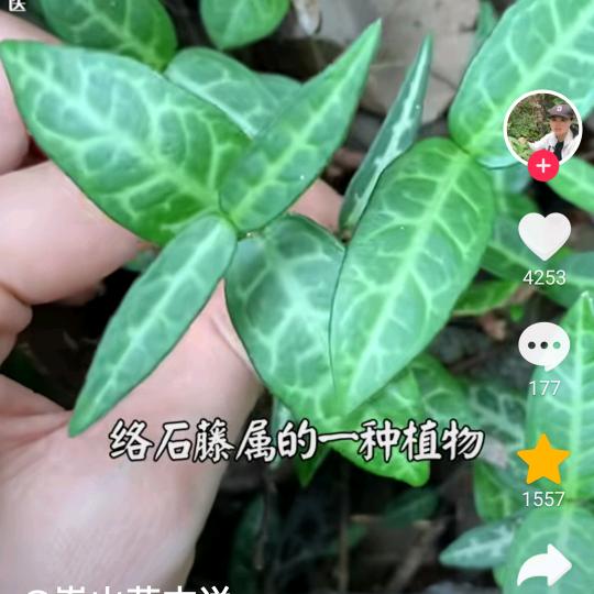 忍一忍