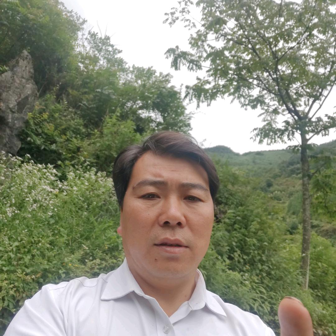 何三哥