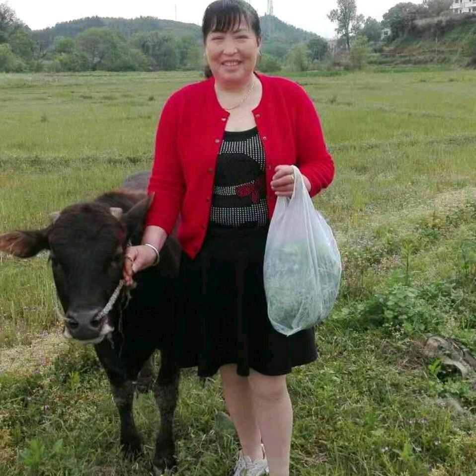 花姐开心果