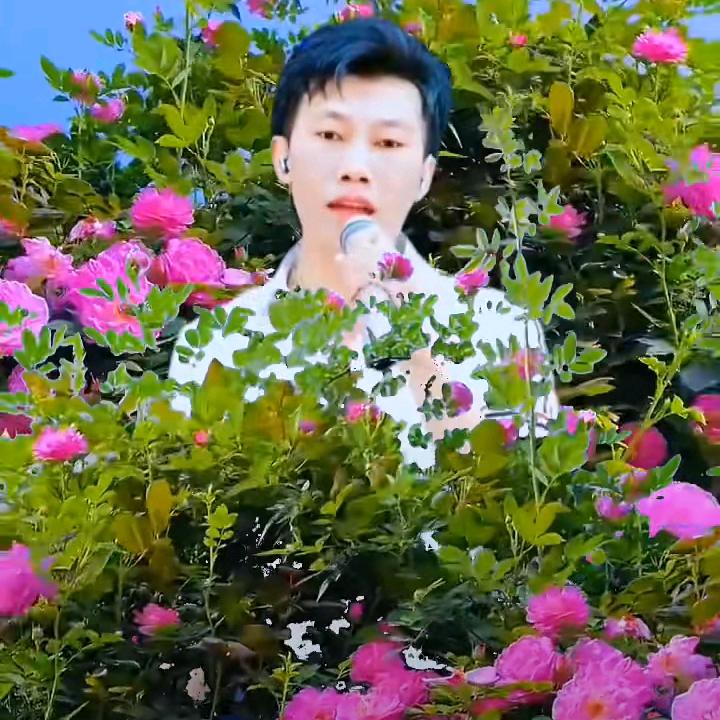 开心哥