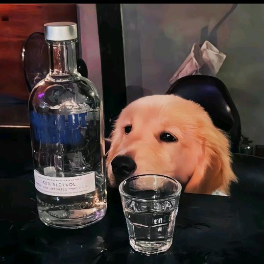 落款.