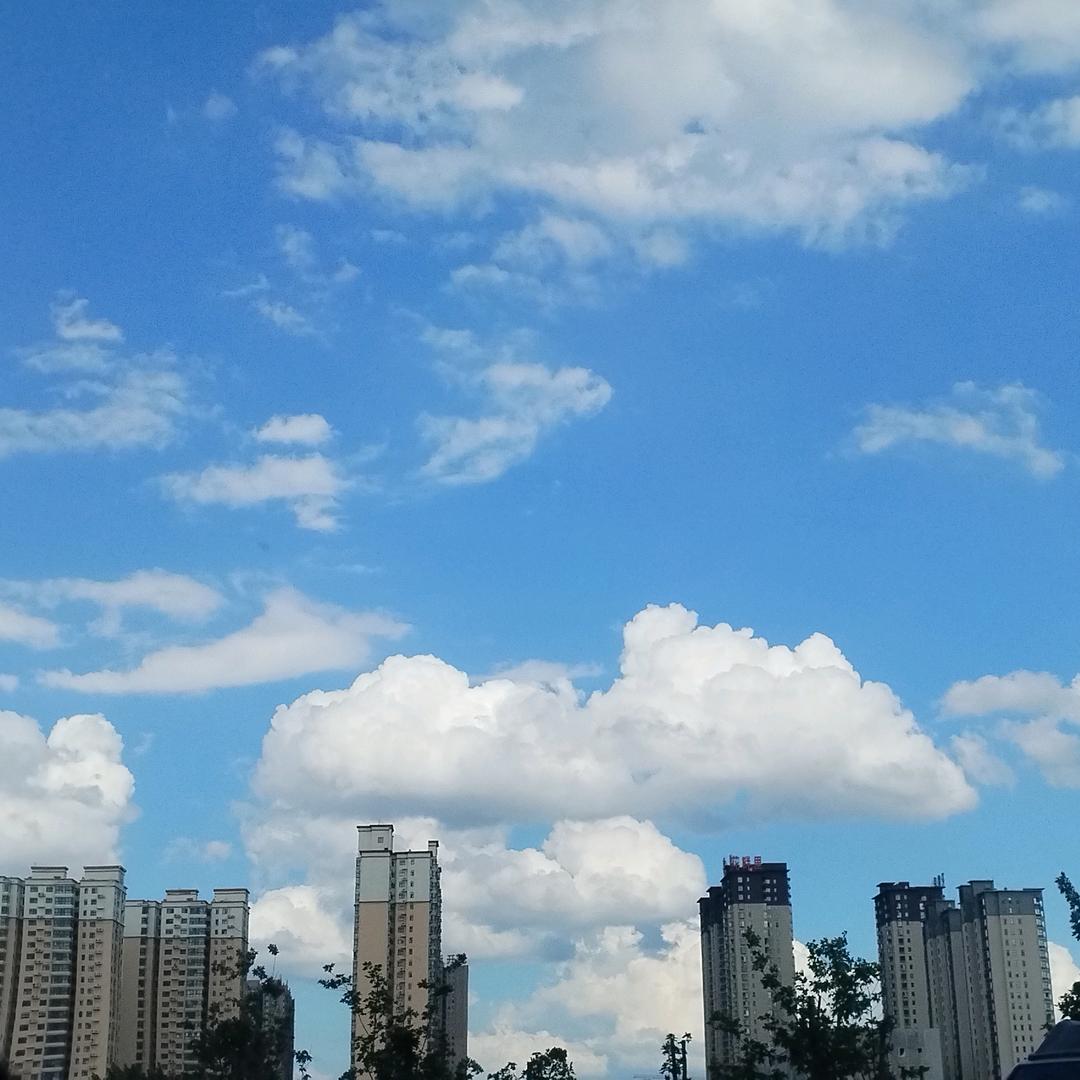 丽彩仿石漆！专业施工团队