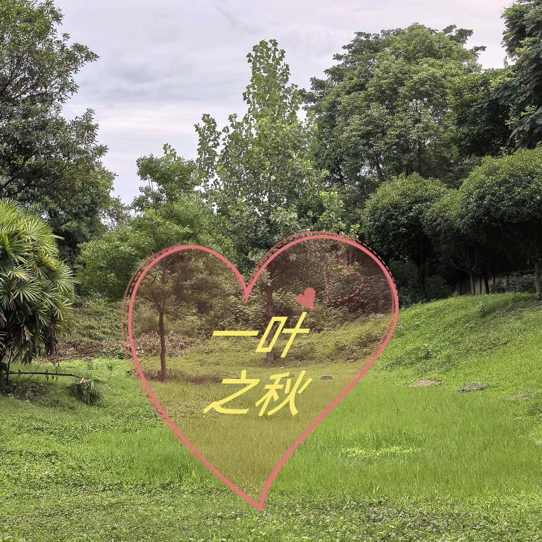 一叶之秋